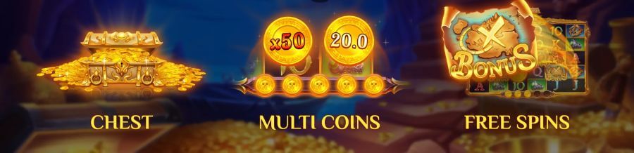 Funktioner i Pirate Multi Coins